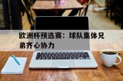 足球直播-关于欧洲杯预选赛：球队集体兄弟齐心协力的信息
