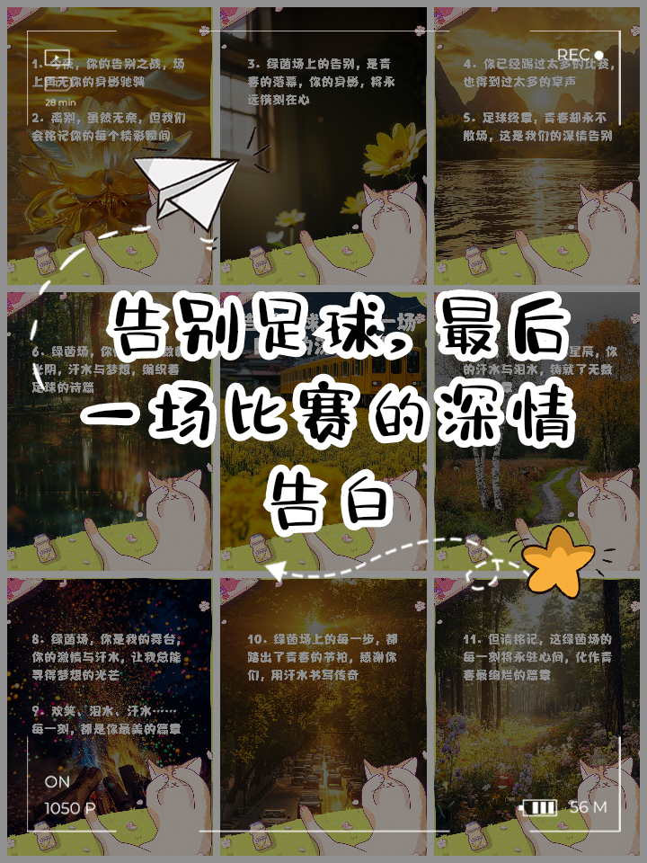 精彩瞬间：这一刻将被永远铭记