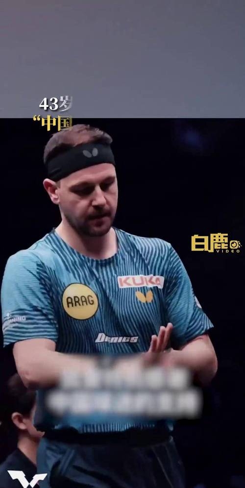 日本乒乓球队强势波兰乒乓球队,波尔绝境逆转的简单介绍 日本乒乓球队强势波兰乒乓球队,波尔绝境逆转的简单介绍